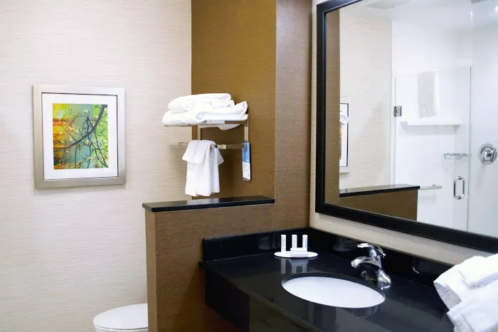 Fairfield Inn & Suites Stroudsburg Bartonsville/Poconos 5