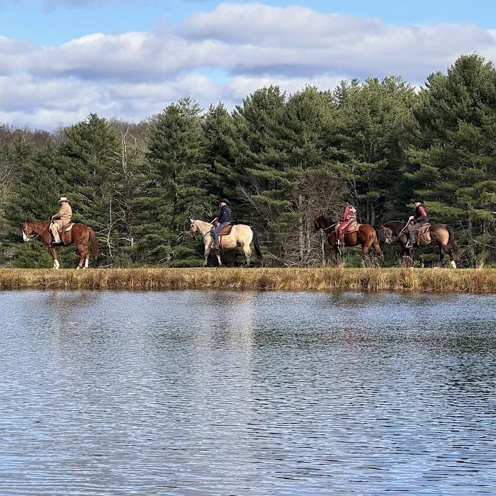 Driftwood Ranch 4