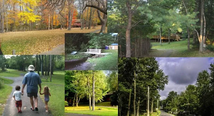 Beaver Lake Estates 4
