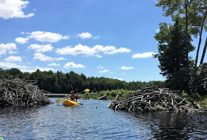 Beaver Lake Estates 4