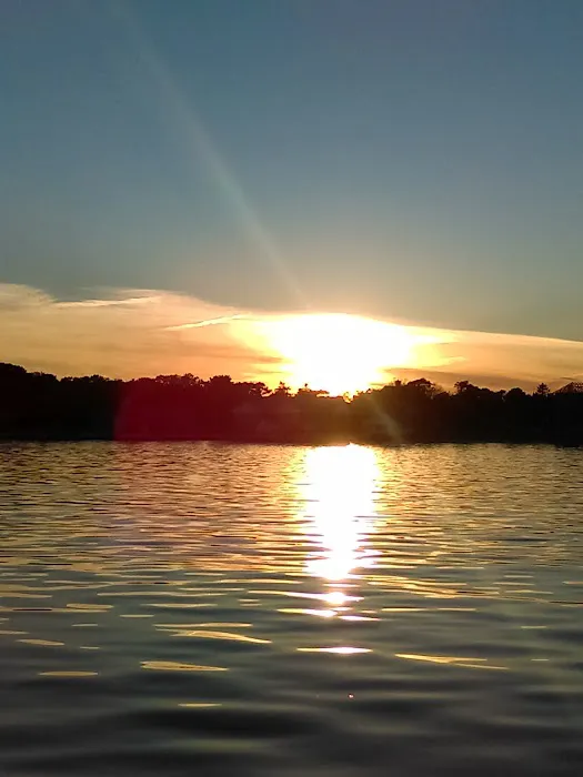 Arlington Shores 4
