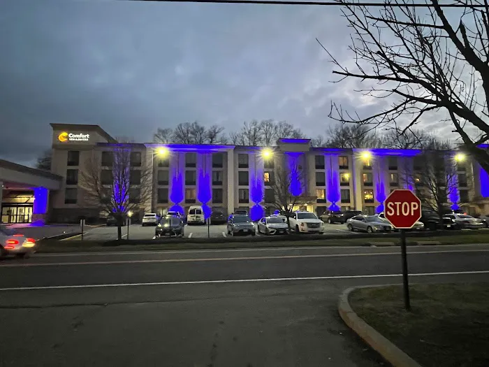Comfort Inn & Suites Danbury-Bethel 4