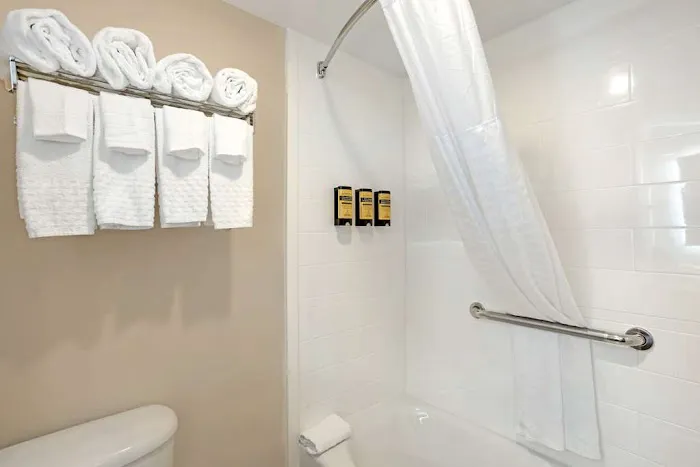 Best Western Plus Fairfield Hotel 4