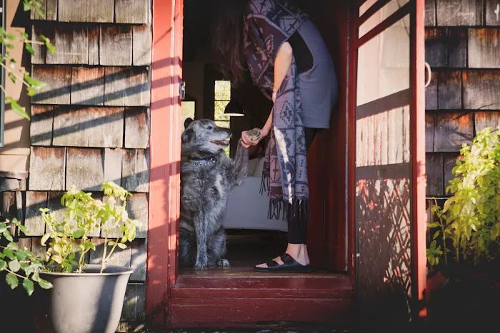 Audrey's Farmhouse 4