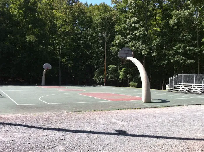 Pocono Rental | PA Cabin - Waterfront w/Pool Table, Indoor Hot Tub/Pool 4