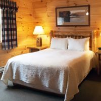 Mountain Springs Lake Resort ico