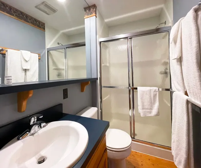 Mountain Springs Lake Resort 4