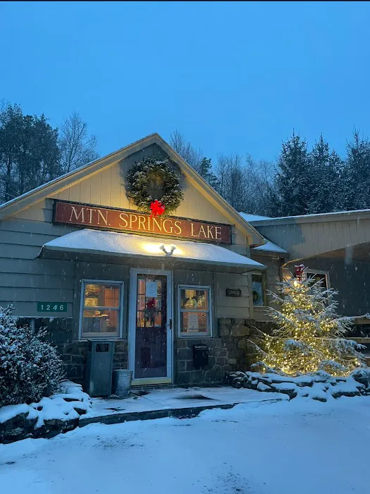 Mountain Springs Lake Resort 4