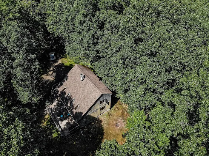 The Woodsy Lair 4
