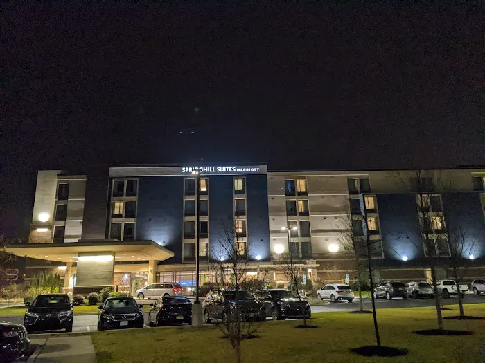 SpringHill Suites Allentown Bethlehem/Center Valley 4