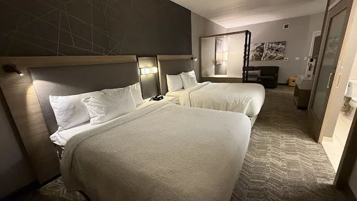 SpringHill Suites Allentown Bethlehem/Center Valley 4