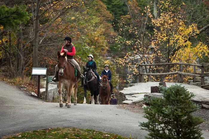 Mohonk Mountain House 4