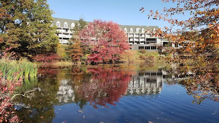 Chateau Resort & Conference Center 4