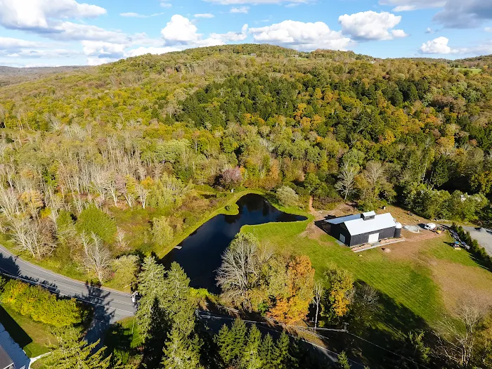 Callicoon Hills 4