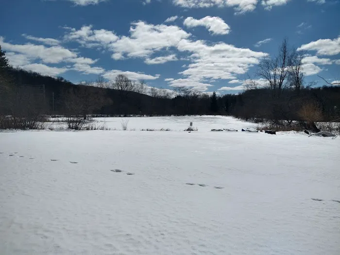 The Willow Pond Resort 4