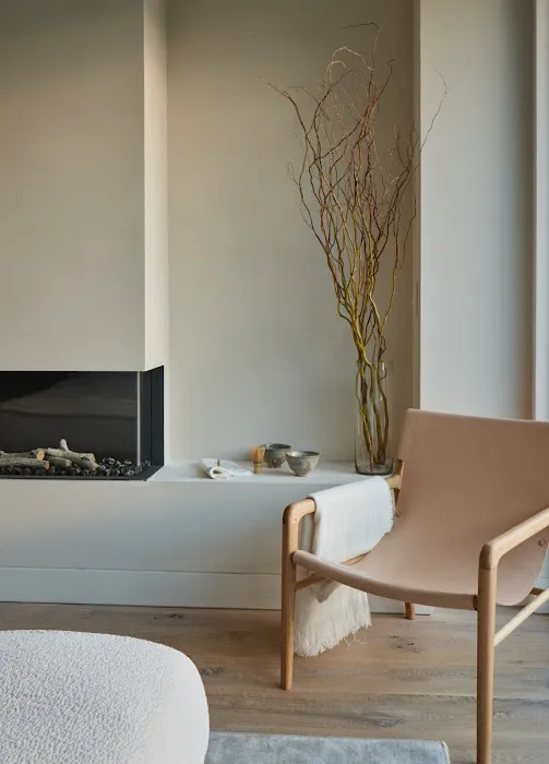 Shou Sugi Ban House 4