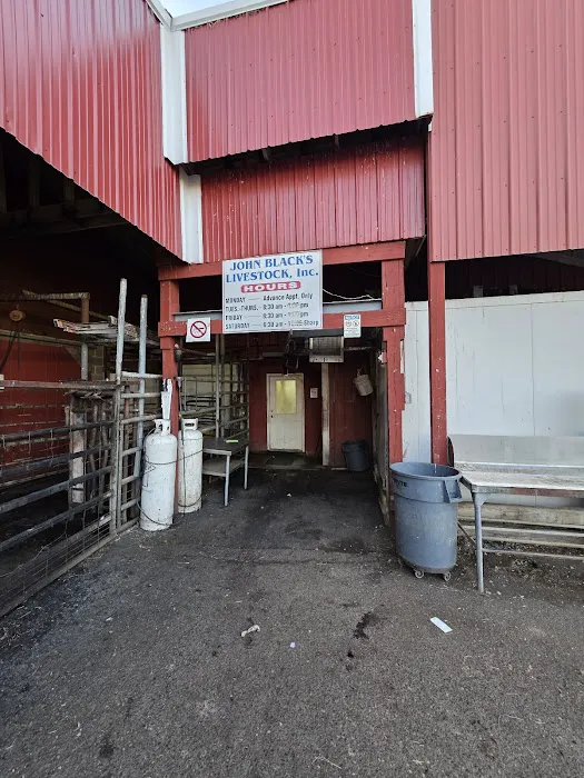 John Black's livestock 4
