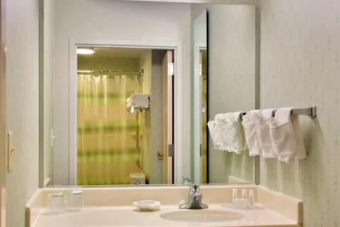 SpringHill Suites Philadelphia Plymouth Meeting 4
