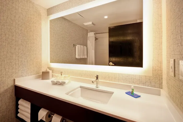 Holiday Inn Express & Suites Allentown Cen - Dorneyville by IHG 4