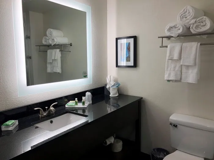 Holiday Inn Allentown-Bethlehem by IHG 4