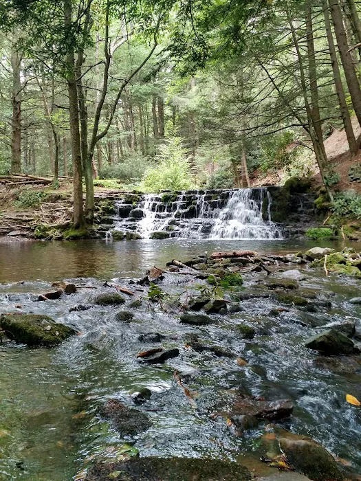 Pocono Manor Area 4