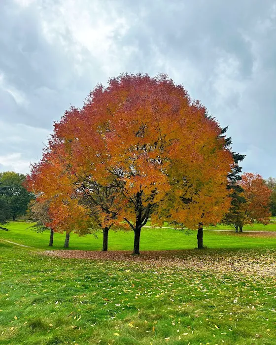 Roscoe Mountain Club 4