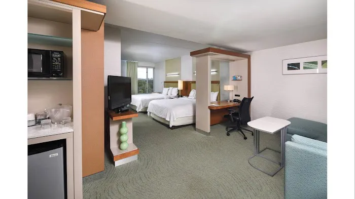 SpringHill Suites Philadelphia Valley Forge/King of Prussia 4