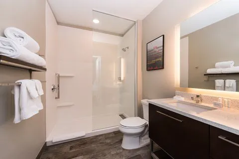 TownePlace Suites by Marriott Allentown West 4