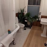 Bau Guesthaus ico