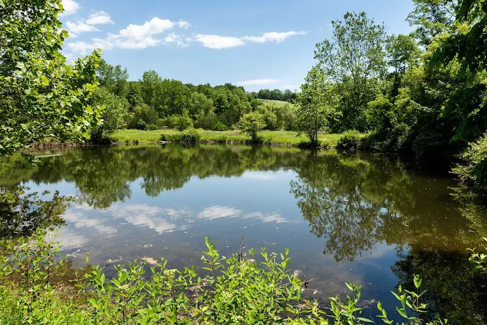 Hudson Pond 4