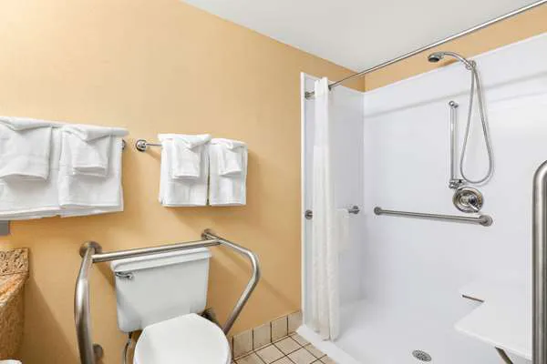 Comfort Inn Pocono Lakes Region 4