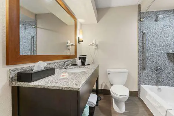 Comfort Inn Lehigh Valley West 4