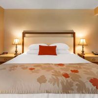 Hawthorn Suites by Wyndham Allentown-Fogelsville ico