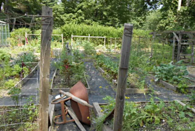 Catskill Rose Lodging & Dining 4