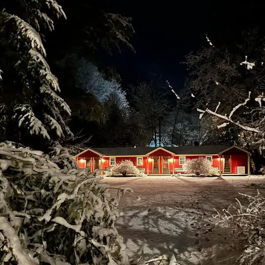 Phoenicia Lodge 4