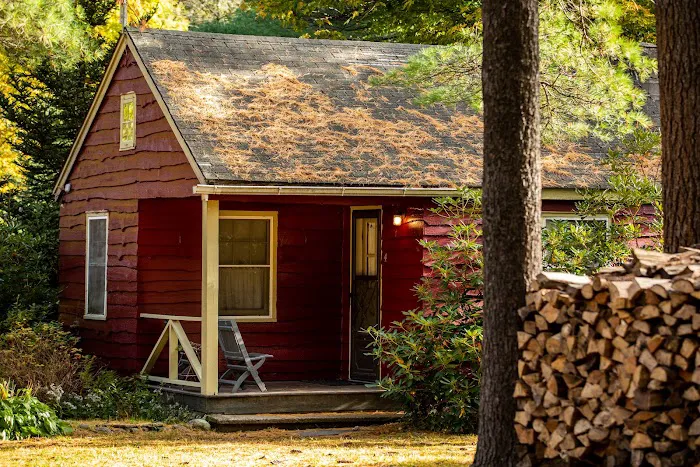 Phoenicia Lodge 4
