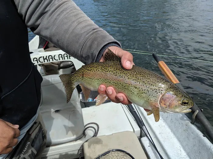 Delaware River Club Fly Fishing Resort 4