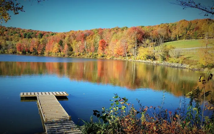 Lake View Estate 4