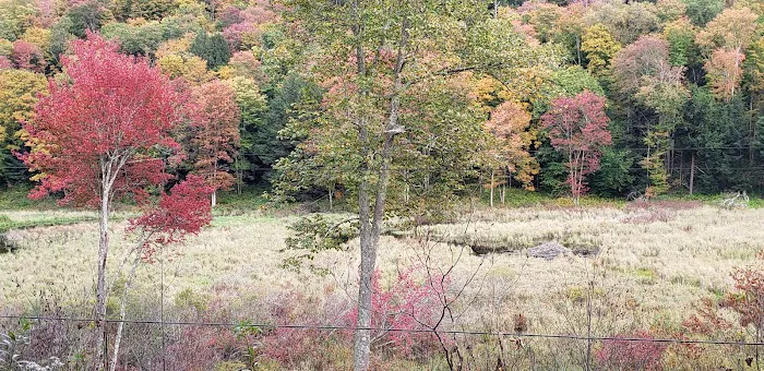 The Big Valley Lodge 4