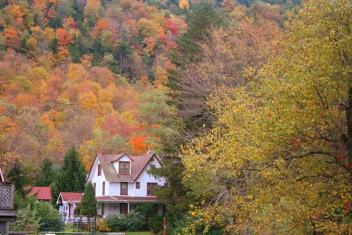The Homestead Farm Resort 4