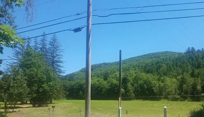 Schwartz 99 Depot 4