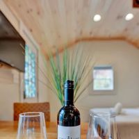 Elements Modern Poconos Resort ico