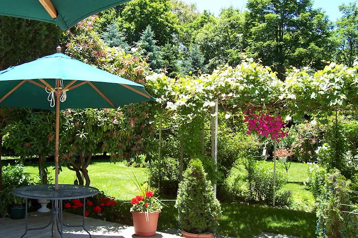 Arbor View House Bed and Breakfast 5