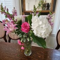 Arbor View House Bed and Breakfast ico