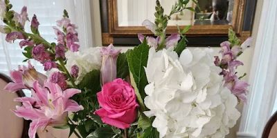 Arbor View House Bed and Breakfast