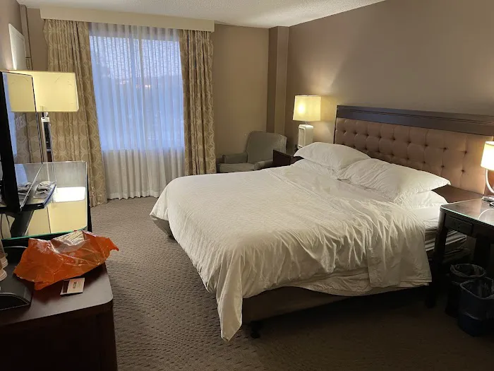 Sheraton Great Valley Hotel 4