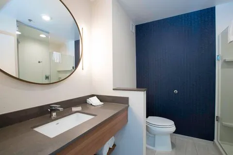 Fairfield Inn & Suites Philadelphia Valley Forge/Great Valley 4