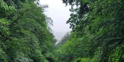 Rose Mountain Cottages