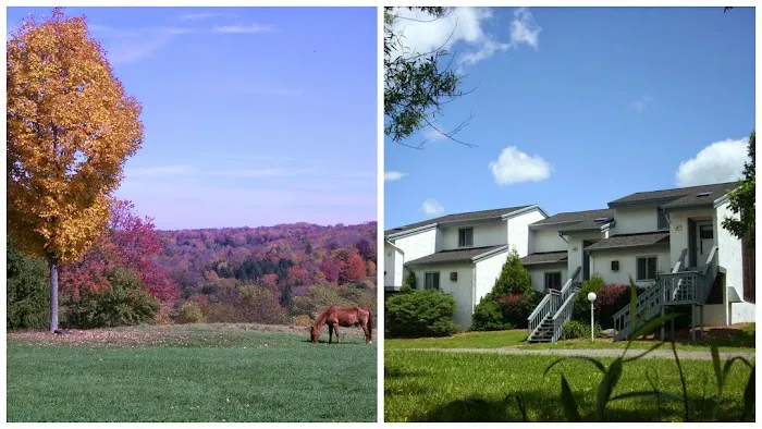 Endless Mountain Resort 4