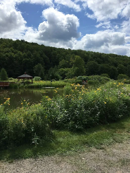 The Natural Gardens 4